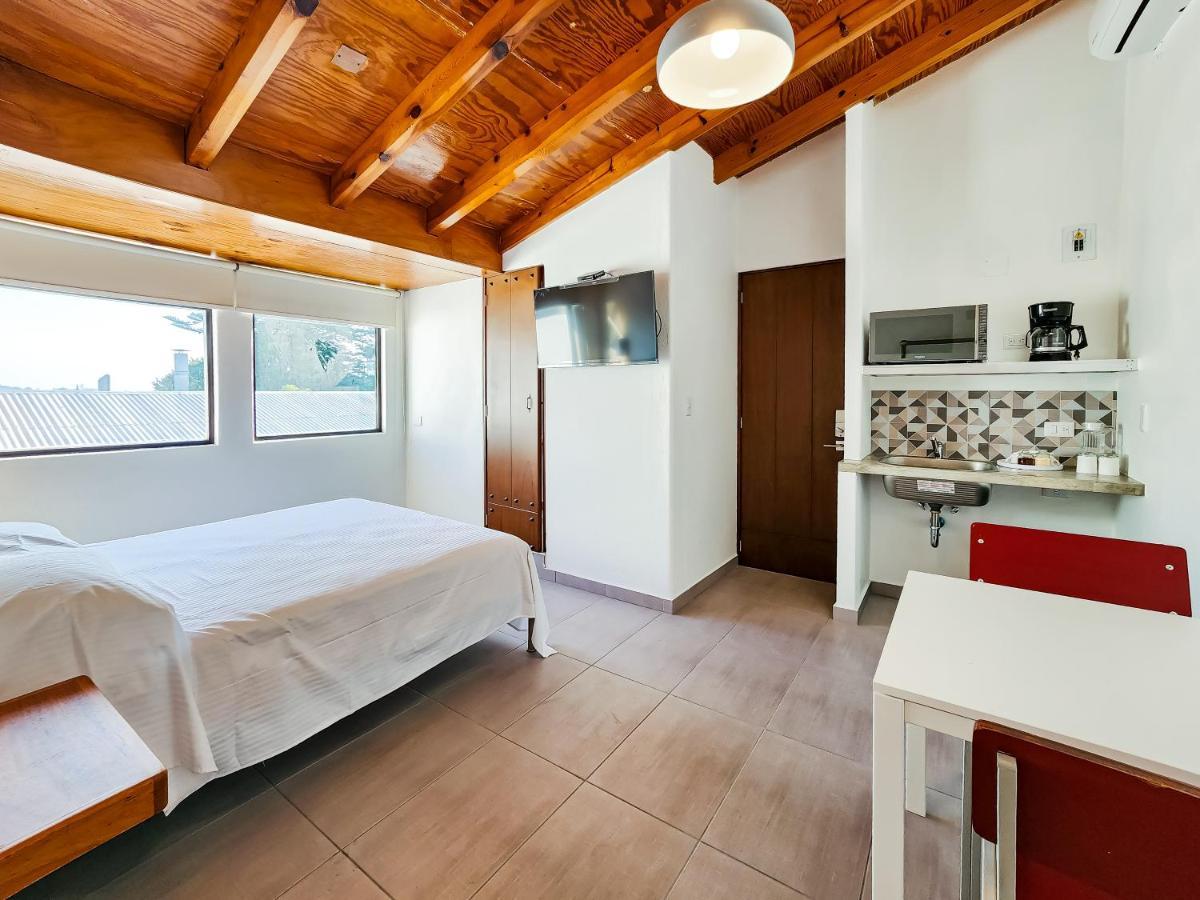 Niebla Suites Xalapa Eksteriør bilde